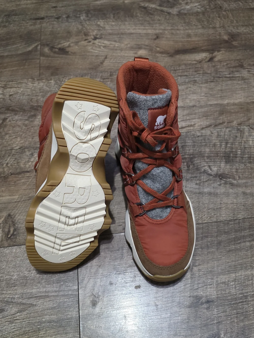 Sorel new kinetic